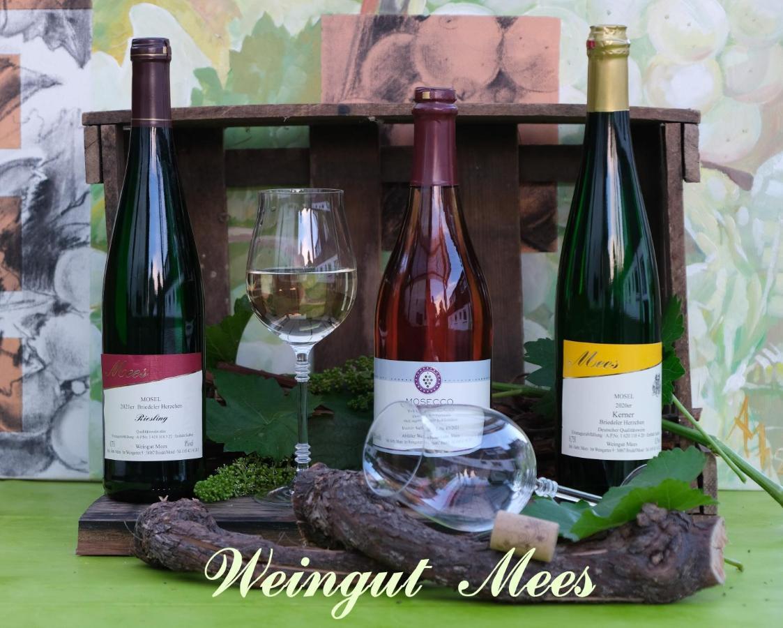 Weingut & Gaestehaus Mees Apartment Briedel Ngoại thất bức ảnh