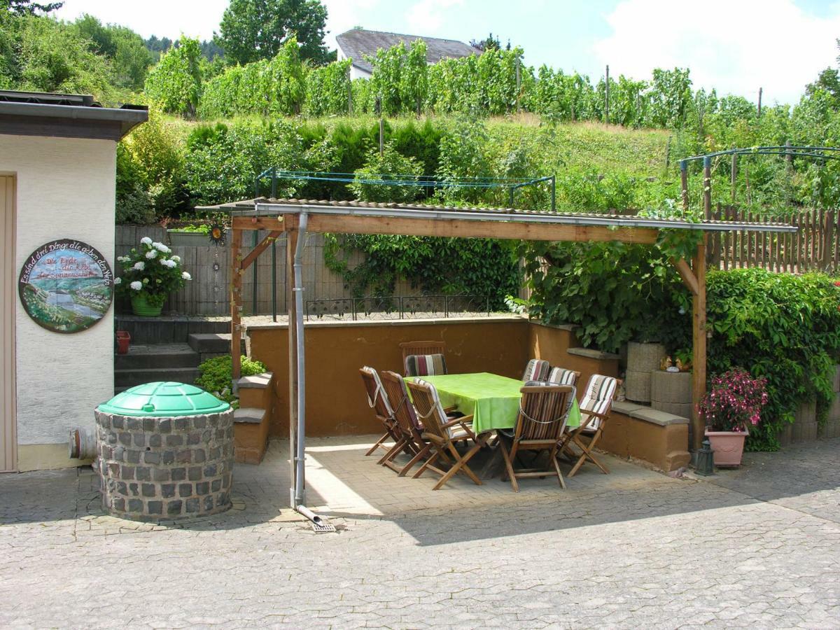 Weingut & Gaestehaus Mees Apartment Briedel Ngoại thất bức ảnh